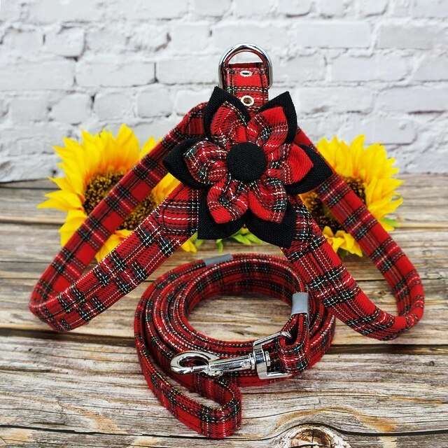 Puppy Dog Harness Leash Set