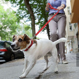 Polka Dots Dog Leash.