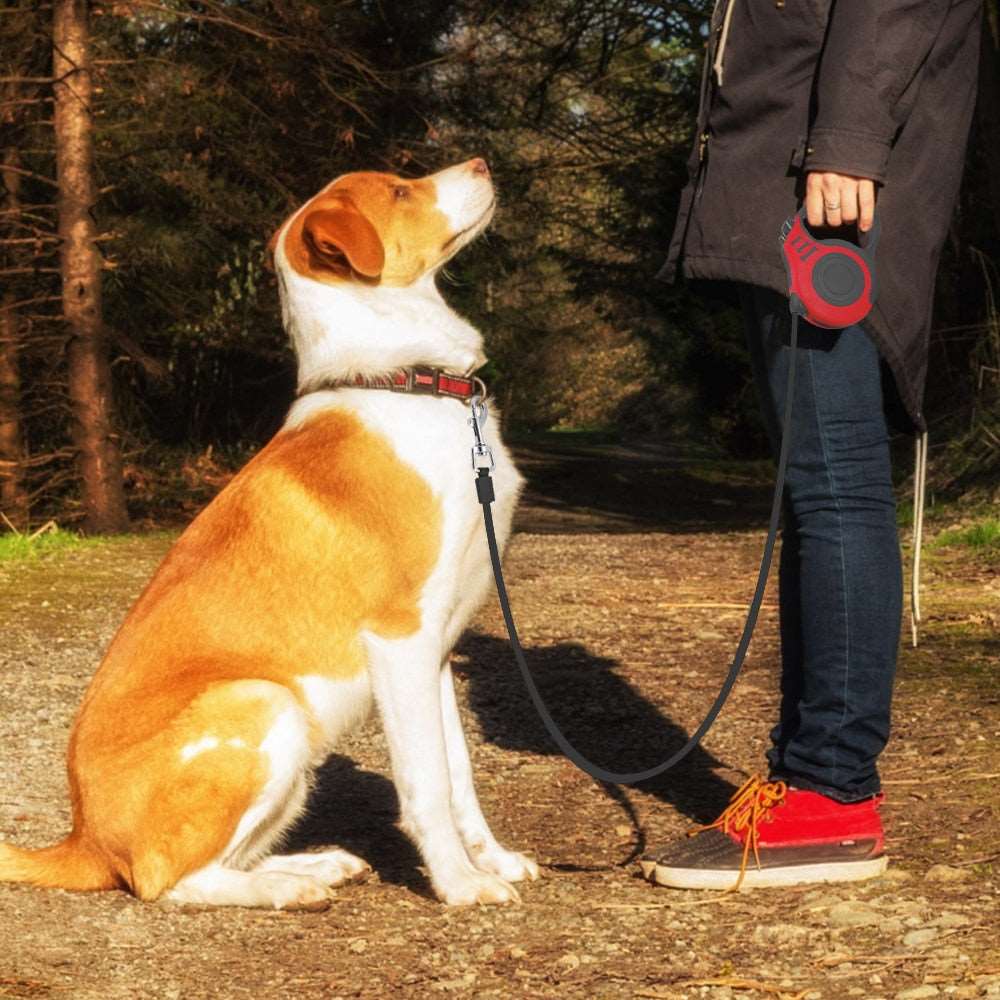 Retractable Dog Leash.