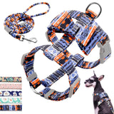 Floral Printed Nylon Dog Harness Set.