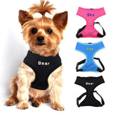 Personalized Nylon Pet Harness.