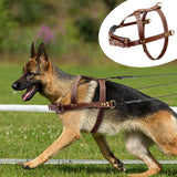K9 Dog Leather Harness.