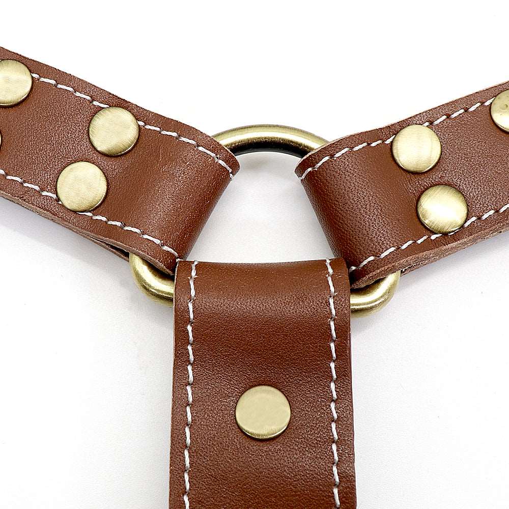 K9 Dog Leather Harness.