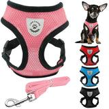 Black Trim Dog Mesh Harness.