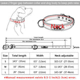 Customized Leather Pet Collar.