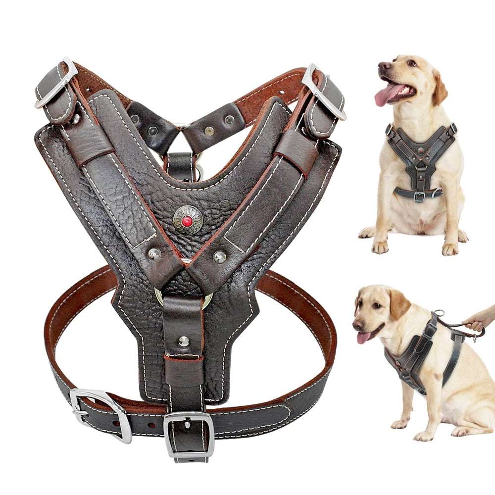 Large Dogs Genuine Leather Harness.