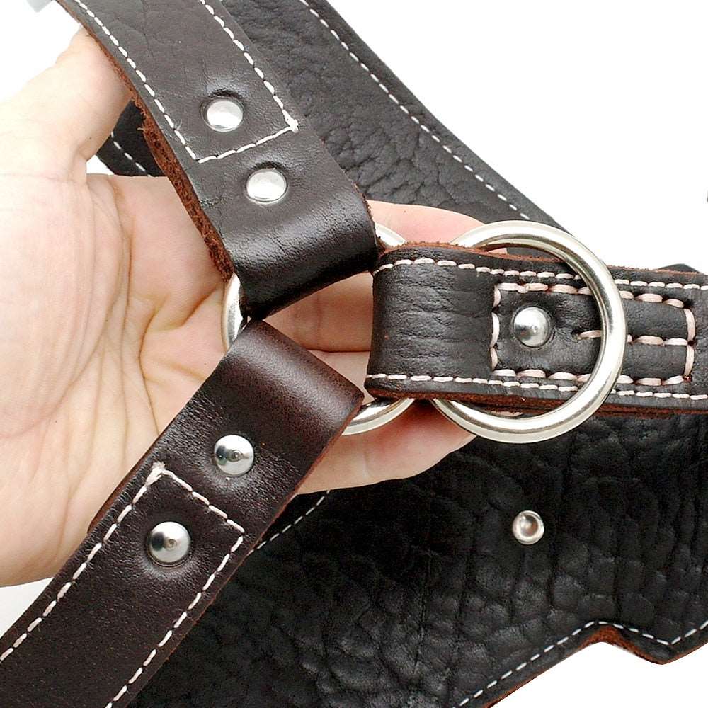 Large Dogs Genuine Leather Harness.