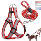 Halter Dog Harness Vest Set.