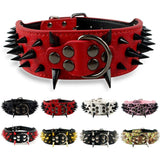 Sharp Spiked Dog Collar.