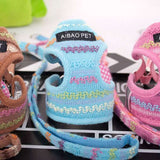 Dog Walking Harness Set.