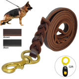 Braided Leather Dog Leash.