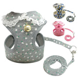 Bell Harness & Leash Set.