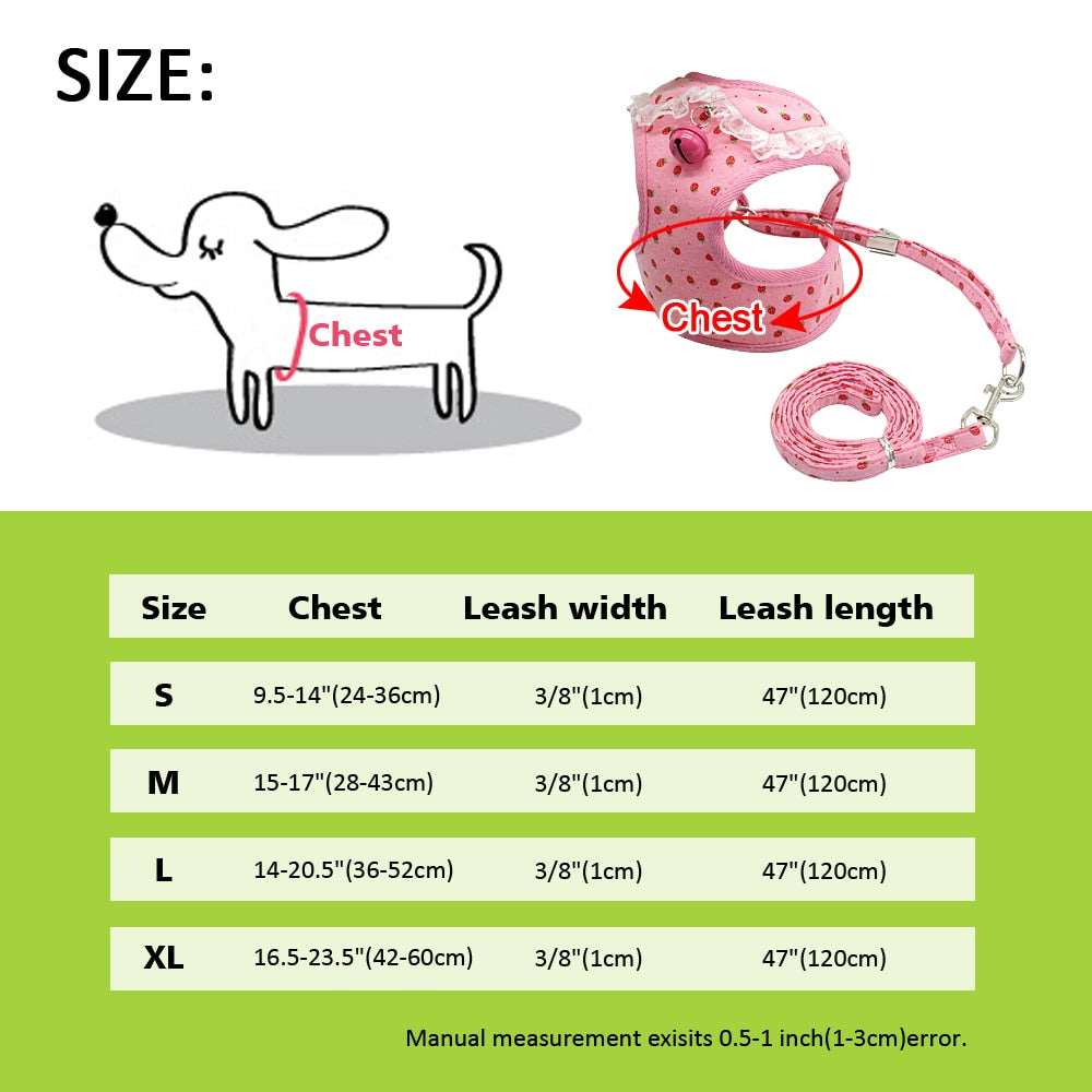 Bell Harness & Leash Set.