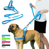 Reflective Harness Leash Set.