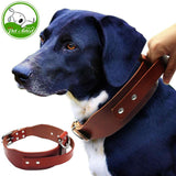 Brown Leather Dog Collar.