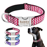 Personalized Reflective Dog Collar.