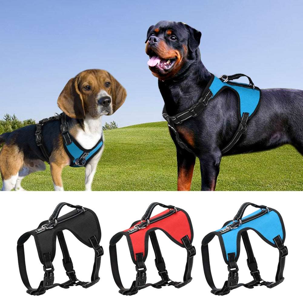 Big Dog Nylon Adjustable Harness.