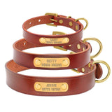 Personalized Dog ID Collar Leather.