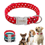 Polka Dot Adjustable Dog Collar.