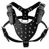 Leather Adjustable Dog Spike Harness.