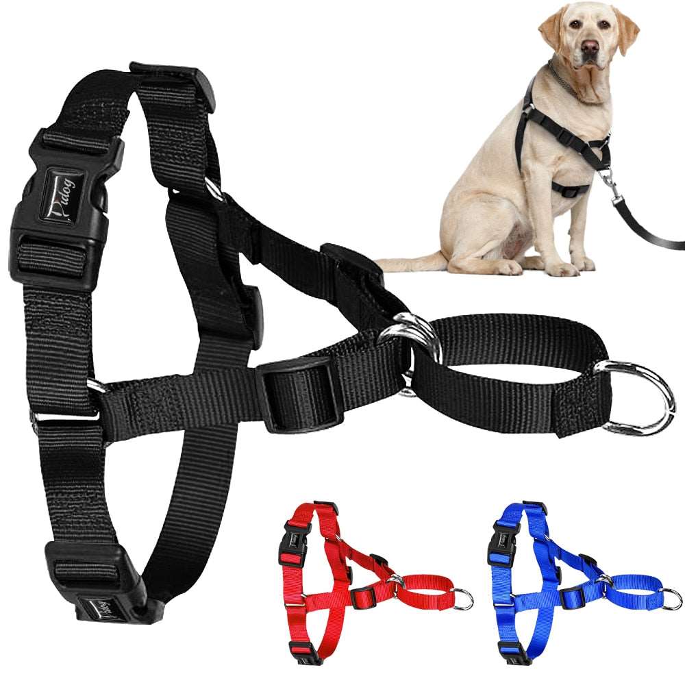 dog harness with metal clasp