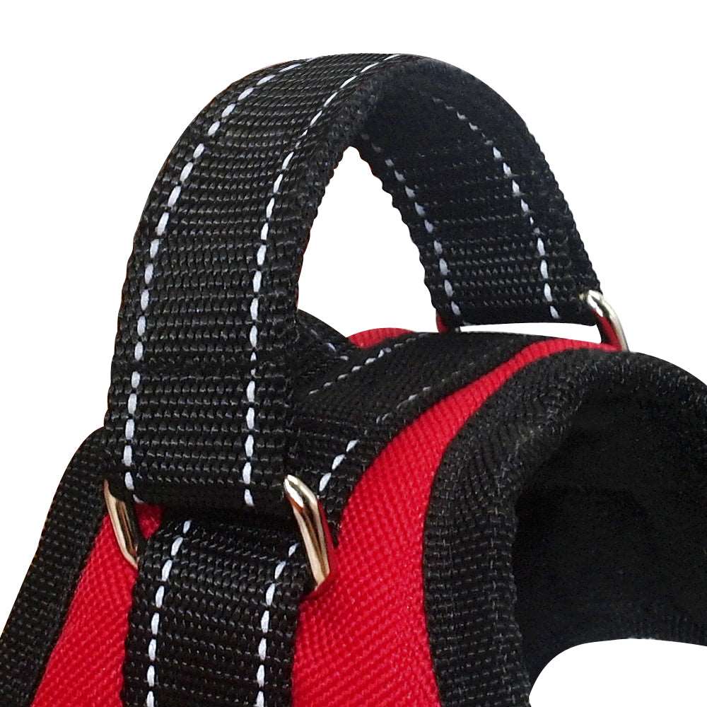 No Pull Dog Harness.
