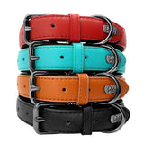 Padded Genuine Leather Dog Collar.