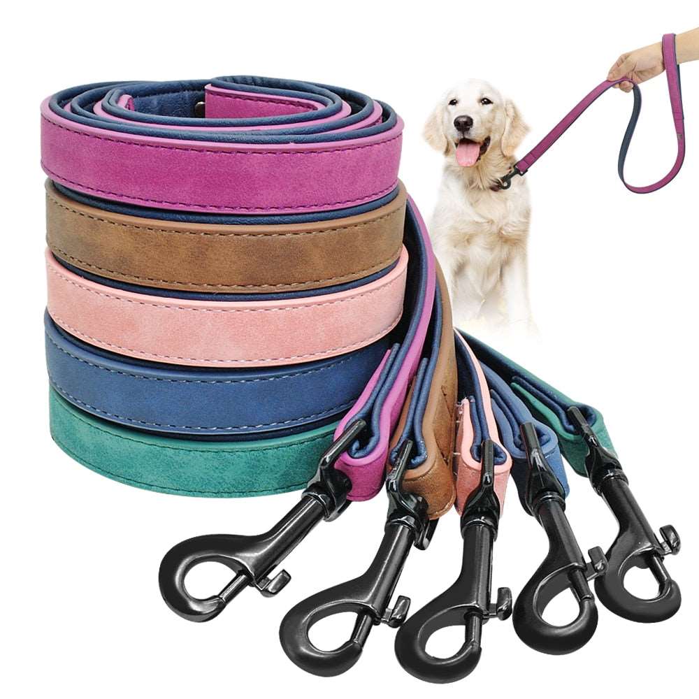 Walking Running Leashes Training