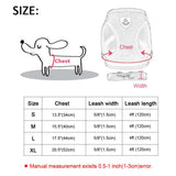 Dog Mesh Harness Vest.