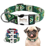 Personalized Plate Dog Collar.