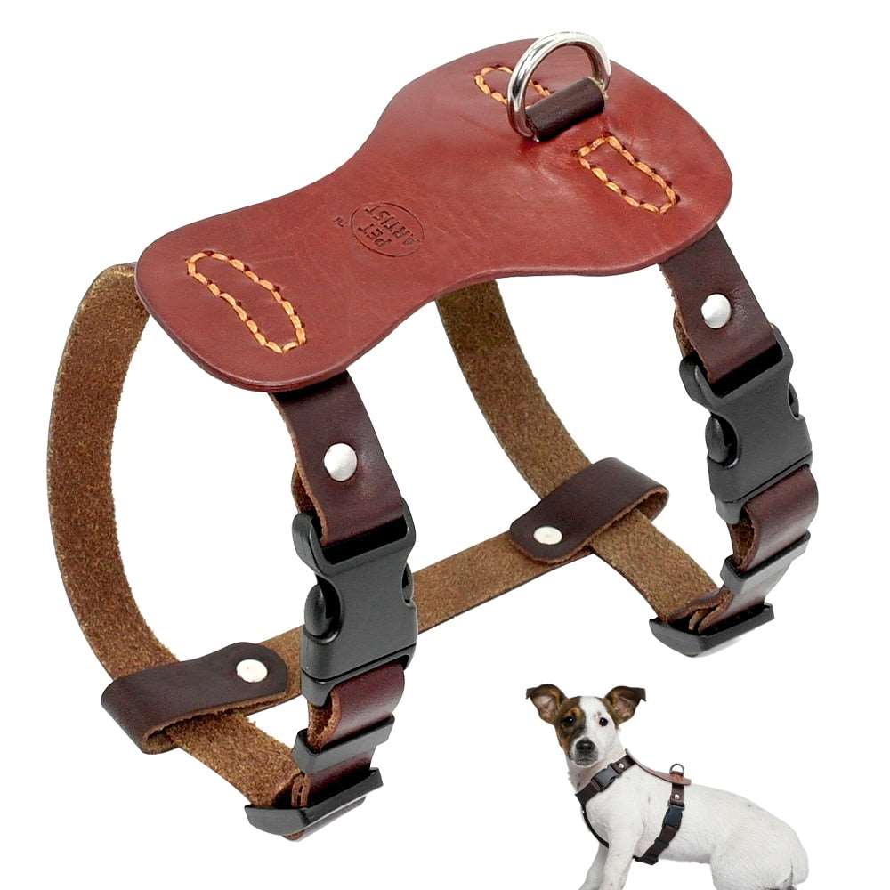 Genuine Leather Dog Harness.