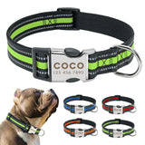 Reflective Stripe Nylon Dog Collar.