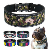 Reflective Nylon Dog Collar.