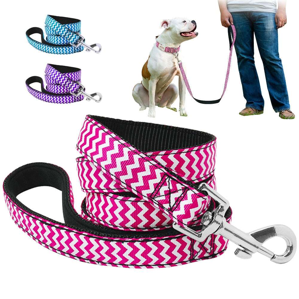 Active Hands-Free Dog Leash.
