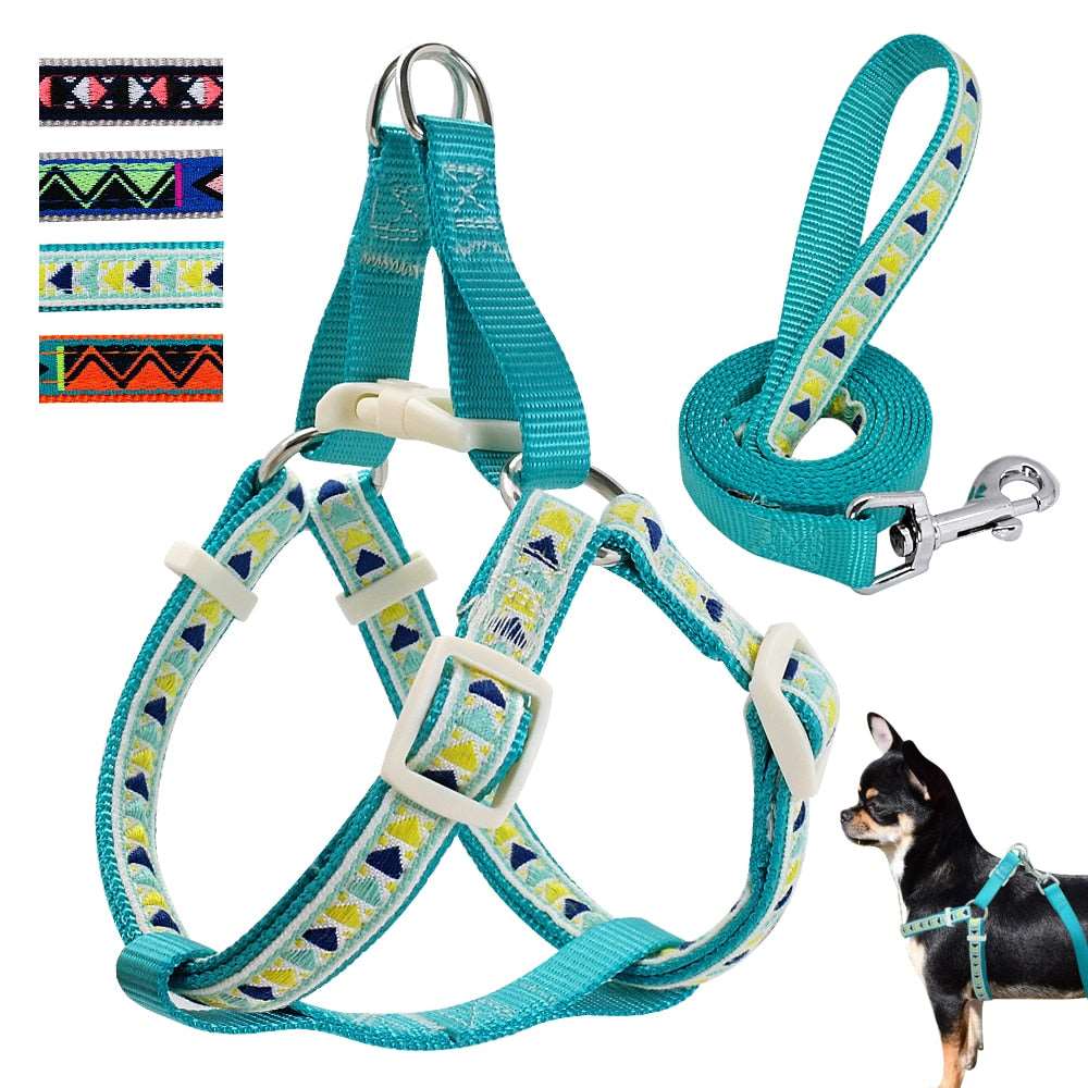 Nylon Printed Dog Harness Set.
