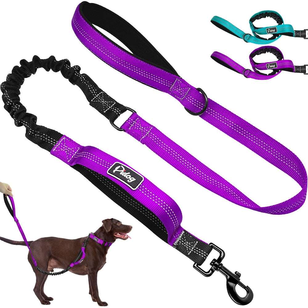 Elastic Bungee Hands-Free Dog Leash.