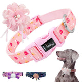 Floral Adjustable Nylon Dog Collar.