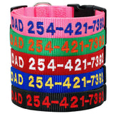 Dog Personalized Nylon Collar.