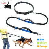 Hands-Free Reflective Dog Leash.