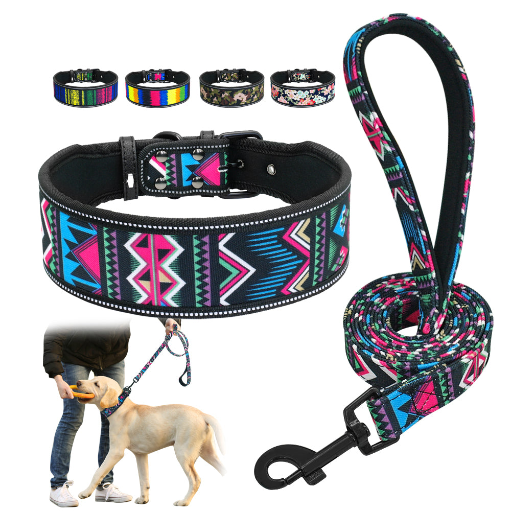 Soft Nylon Dog Collar Set.