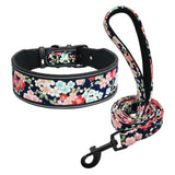 Soft Nylon Dog Collar Set.