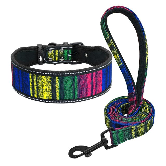 Soft Nylon Dog Collar Set.