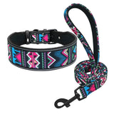 Soft Nylon Dog Collar Set.