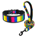 Soft Nylon Dog Collar Set.