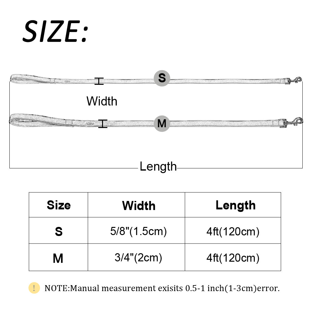 Dog lead Leather