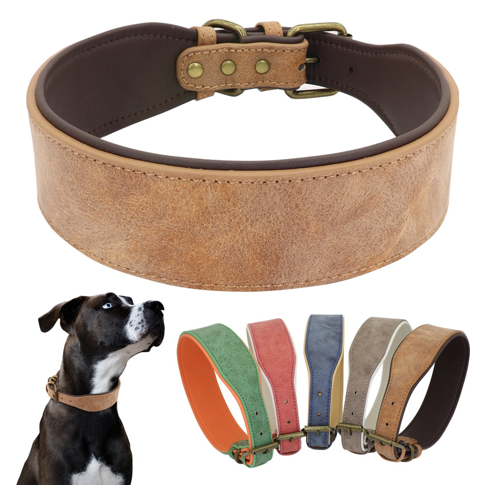 Wide Leather Dog Collar.