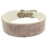 Wide Leather Dog Collar.