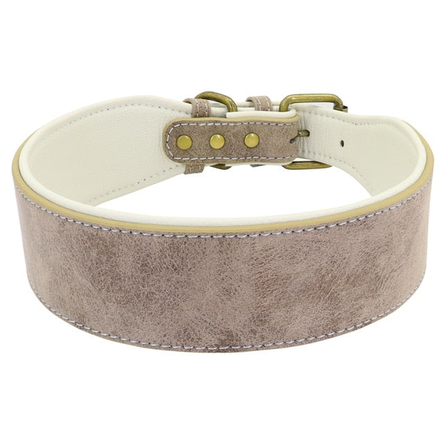Wide Leather Dog Collar.