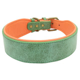 Wide Leather Dog Collar.