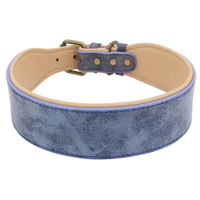 Wide Leather Dog Collar.